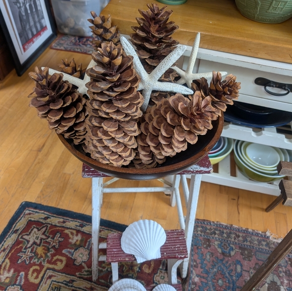 💥SOLD OUT💥Huge Authentic Sugar Pinecones 13to14inches Long - Picture 3 of 11